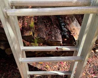 42 Werner16AluminumExtensionLadder