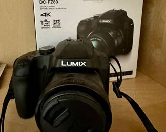 Panasonic Lumix DC FZ80