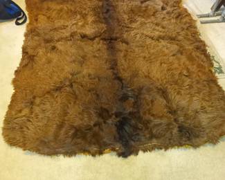 Bearskin rug #1