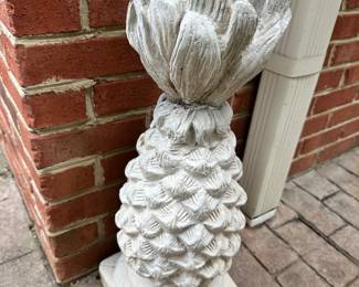 garden pineapple