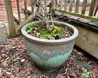 planters