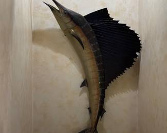 Sailfish!