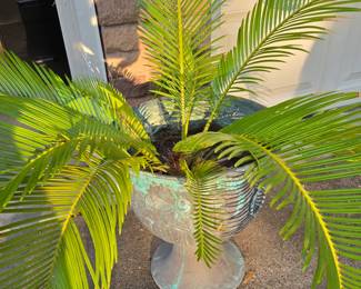 Plant
