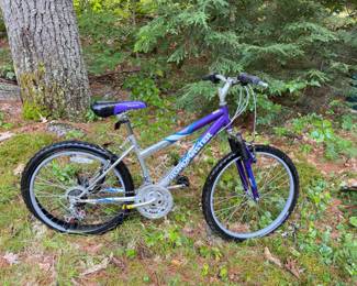 Roadmaster Bike