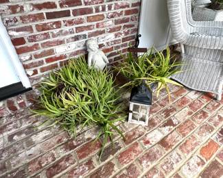 Plants - Garden Decor 