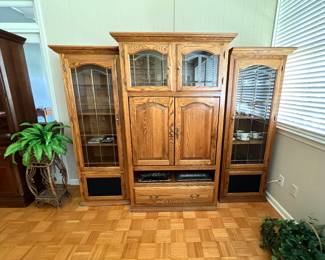 Entertainment Center 