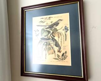 Framed Art 