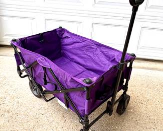 Purple Folding Academy Wagon