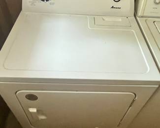 NICE AMANA DRYER