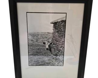 Giles Norman Original Signed Photography Print Curious Cow 