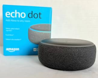 Amazon Echo Dot