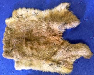 Rabbit pelt