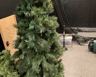 Two Christmas trees