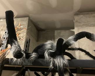 Halloween spiders