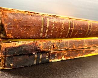 Antique 1800’s Penny Magazine books