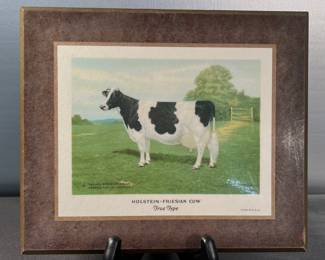 Holstein-Friesian cow print on board