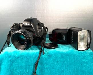 Canon digital EOS 6D, Canon Speedlight flash, sold separately 