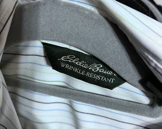 Eddie Bauer Wrinkle-Resistant Striped Button-Up Shirt | Classic Everyday Wear