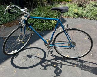 Vintage Schwinn bike