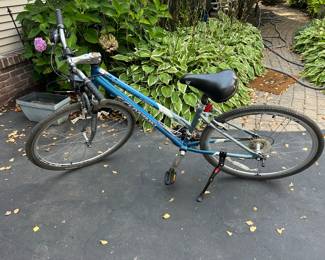 Schwinn girls bike 