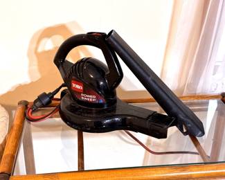 Toro Power Sweep