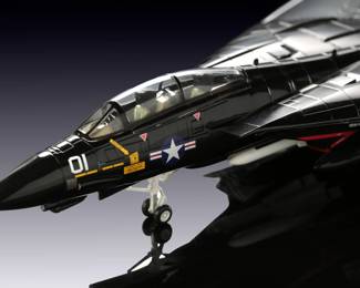 Large Scale F-14A Tomcat Model - VX-4 "Vandy One" Playboy Bunny Livery