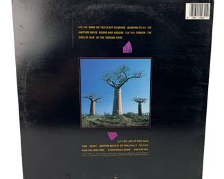 Pink Floyd Delicate Sound of Thunder 2LP Vinyl Record Album 1988 Original Pressing VG+