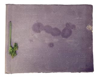 WWI German Photo Album: 6th Bavarian Reserve Division at FROMELLES & Aubers Ridge, Downed British RFC Plane 1916, 119 Photos