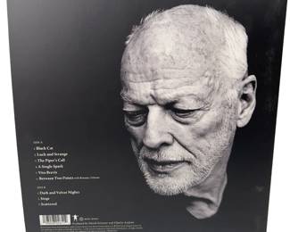 David Gilmour - Luck and Strange LP Vinyl (Pink Floyd) 2024 Sony Music<