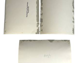 RARE 1933 SCHWEINFURT DAF PARADE - 3 Original Photos, VKF/SKF Factory Workers, Third Reich, Unpublished