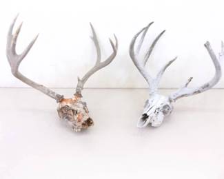 2 Vintage Deer Horn Skulls
