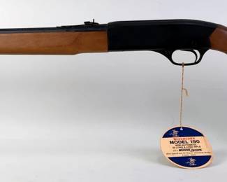 Winchester 190 .22 LLR Rifle SN# B1801354