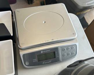 scale