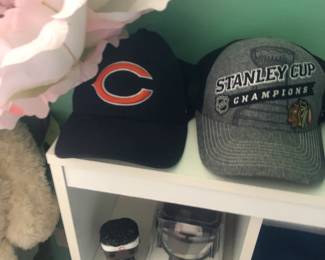 Chicago Bears
