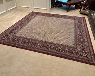Paladin 8.2 Square Rug