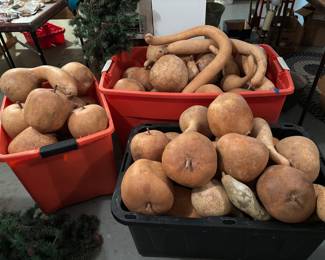 Gourds and more gourds
