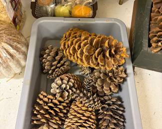 Large pinecones