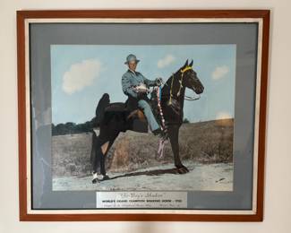 Large framed photograph by Les Nelson of "Go-Boy's Shadow", World's Grand Champion Walking Horse 1955