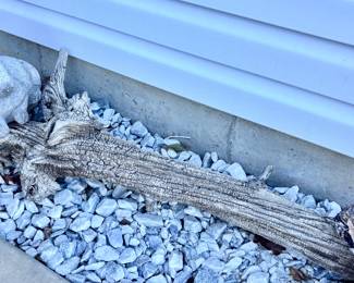 Driftwood and Bunny Statue