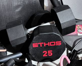 Ethos 25 lb Dumbbells
