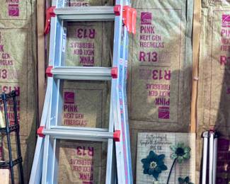 Extension Ladder and Step Ladder