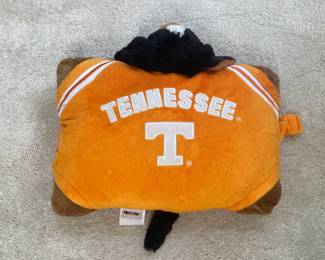 University of Tennessee pillow