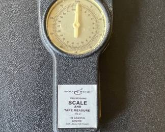 Accu-scale