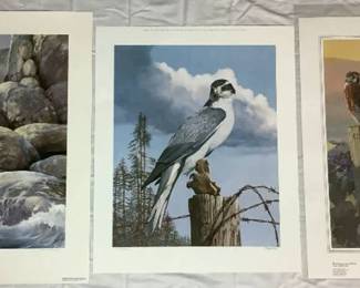 Birds of Prey Bundle - Includes 3 Unframed Prints Featuring Mario Fernandez and Thomas Hirata