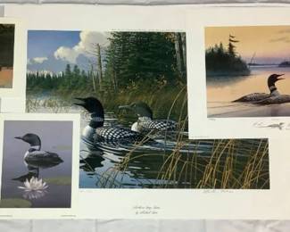 Loon Print Bundle - Includes Northern Song - Loons by Micheal Sieve, Loons Song by Jerry Raedeke, (2)Summers Glow by Bruce Miller, and (2)Northern Reflections - Common Loon by Daniel Smith