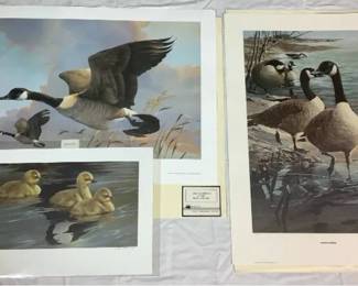 Mario Fernandez Canadian Goose Bundle - Includes 3 Unframed Prints (Loves Reflection, The Wanderers, and Shorline Solitude)