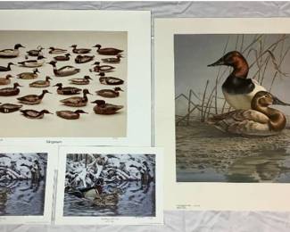 Collection of Duck and Decoy Prints Includes: (2) Fickle Springtime-Wood Ducks by Jim Kasper, Burning Through by James A Meger, and Mergansers by James Bay Company