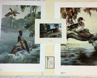 Trio of Mario Fernandez Duck Prints Includes: (Nesting Woodies, A Moment Like This, and Sunbathers)