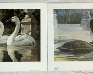 Pair of Swan Prints by Mario Fernandez - "Of Man and Nature" and "Of Man and Nature II"