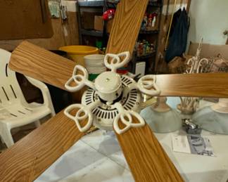 Ceiling Fan with Lights